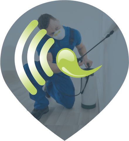 Assertiva Service Servicos 02