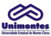 UNIMONTES - Universidade Estadual de Montes Claros