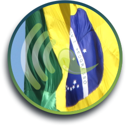 GOVERNOS_E_ORGANIZACOES-Ponto_Limpo_Servicos-01